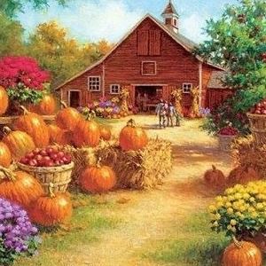 Meet your Posher, Sammy